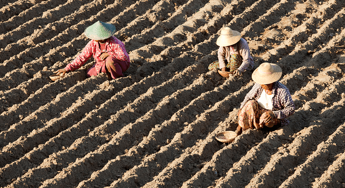 Agriculture