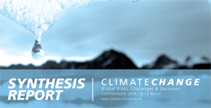 Synthesis report - Climate change